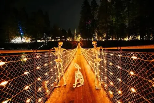 Canyon Lights 2026: 5 lý do nên khám phá Capilano từ chiều đến tối 