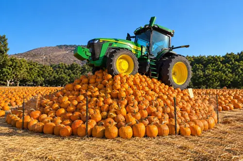Underwood Family Farms Fall Harvest Festival 2026: 7 trải nghiệm độc đáo ở California