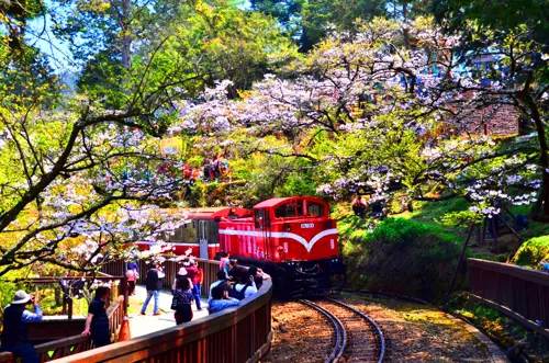 DU LỊCH ĐÀI LOAN: ALISHAN – ĐÀI TRUNG – ĐÀI BẮC 2026 (EVA)