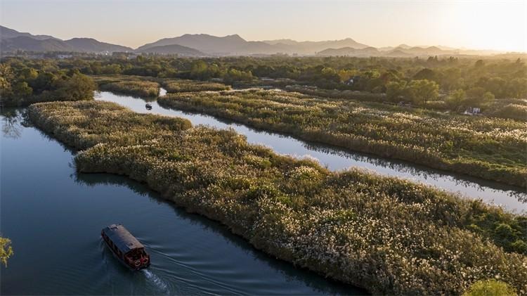 Xixi Wetland Park: Guide to Boating, Birdwatching & Trails