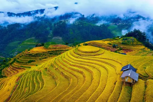 Mù Cang Chải mùa lúa chín đi tháng mấy, ngắm ở đâu đẹp nhất? 