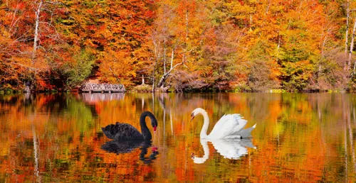 Seven Lakes Thổ Nhĩ Kỳ: Yedigöller mùa thu có gì?
