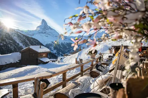 Du Lịch Thụy Sĩ Mùa Đông 2026 - Hành Trình Tuyết Trắng & Tàu Panorama Glacier Express
