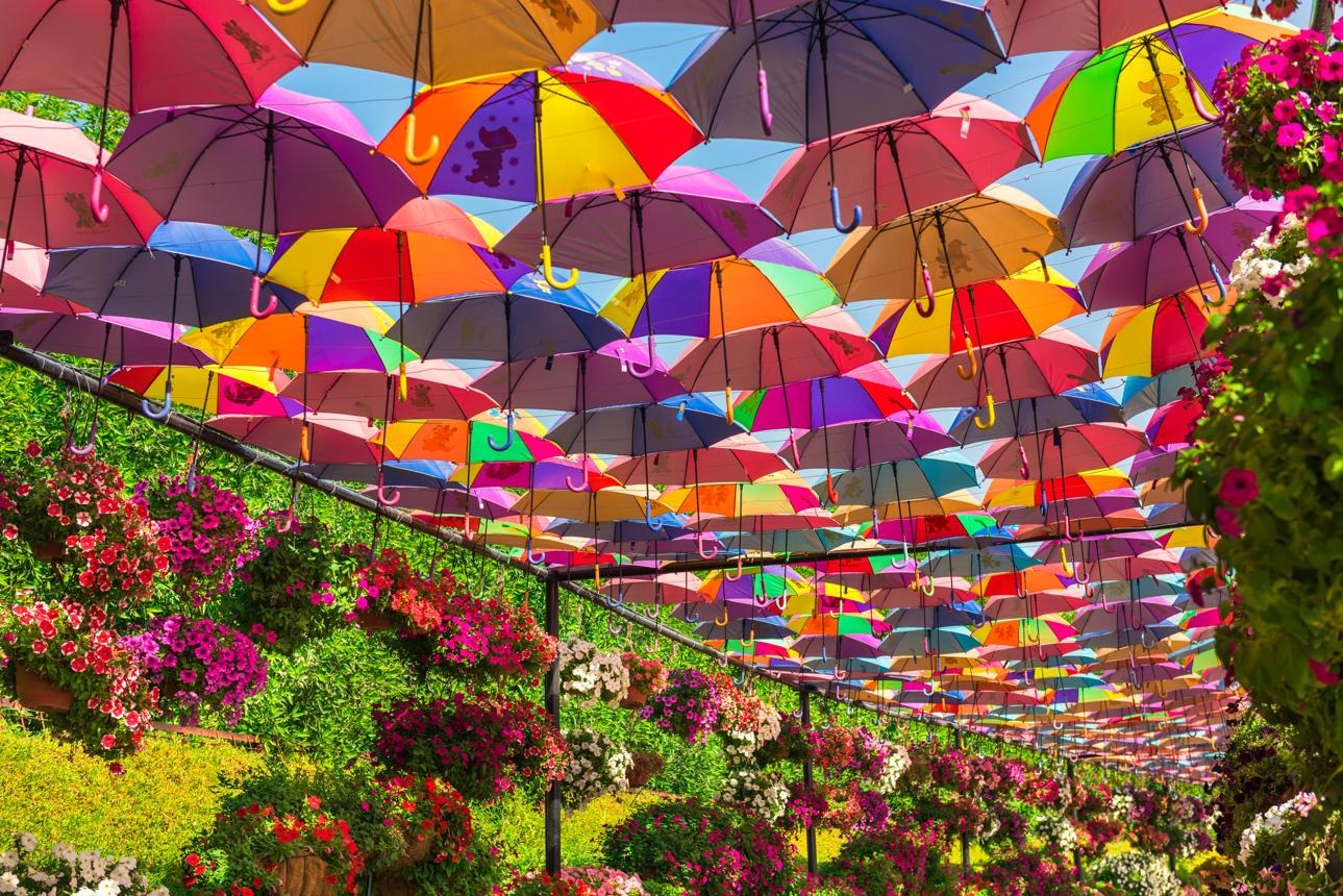 Dubai Miracle Garden, Dubai: How To Reach, Best Time & Tips