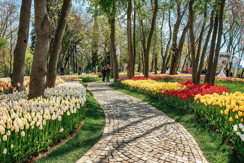 Kinh nghiệm ngắm tulip Emirgan Park 2026 - Khám phá vẻ đẹp rực rỡ của mùa xuân Thổ Nhĩ Kỳ 