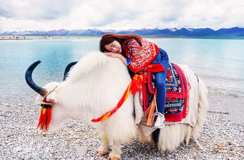 Sốc độ cao Tây Tạng có nguy hiểm không? Bí quyết cho chuyến đi an toàn mới nhất 2026