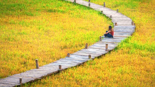 Nakhon Nayok có gì chơi? Cẩm nang du lịch thiên nhiên gần Bangkok 2026 