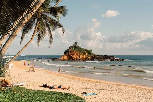Ngắm cá voi Mirissa tháng mấy đẹp? Cẩm nang mùa du lịch biển Sri Lanka