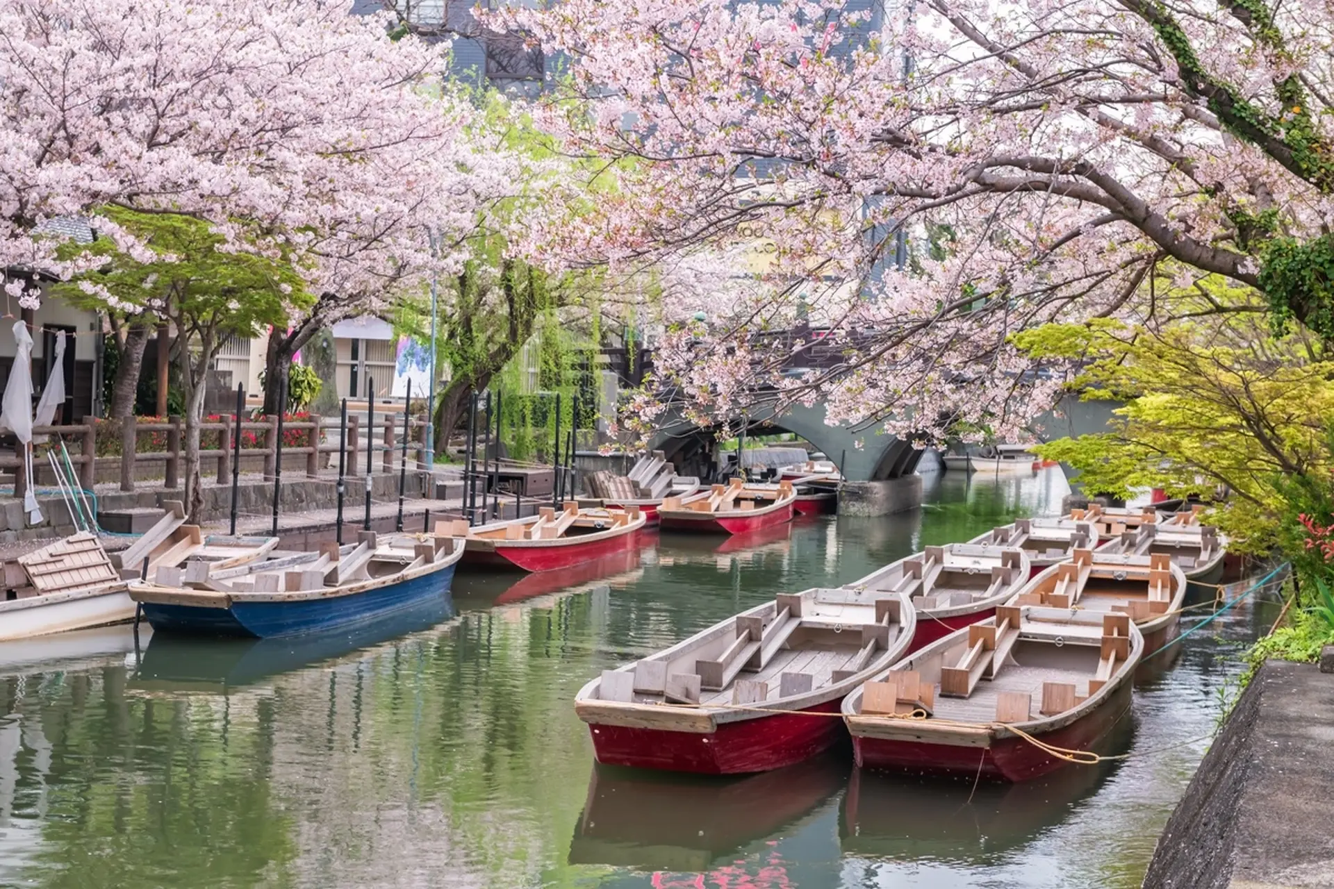 Đi thuyền Yanagawa: 7 kinh nghiệm cần biết khi lần đầu đến Fukuoka