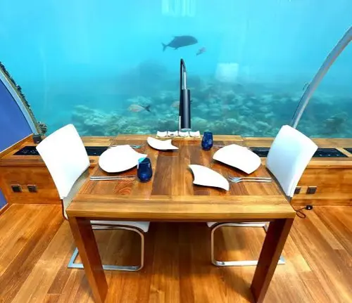 Nhà hàng dưới biển Ithaa: 5 trải nghiệm độc đáo giữa lòng đại dương Maldives