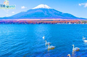 DU LỊCH NHẬT BẢN:  NARITA - TOKYO - YAMANASHI - Núi Phú Sĩ - TRÀ ĐẠO NHẬT BẢN   (2023)