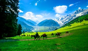 DU LỊCH ẤN ĐỘ : SRIAGAR - TAJ MAHAL - DAL LAKE