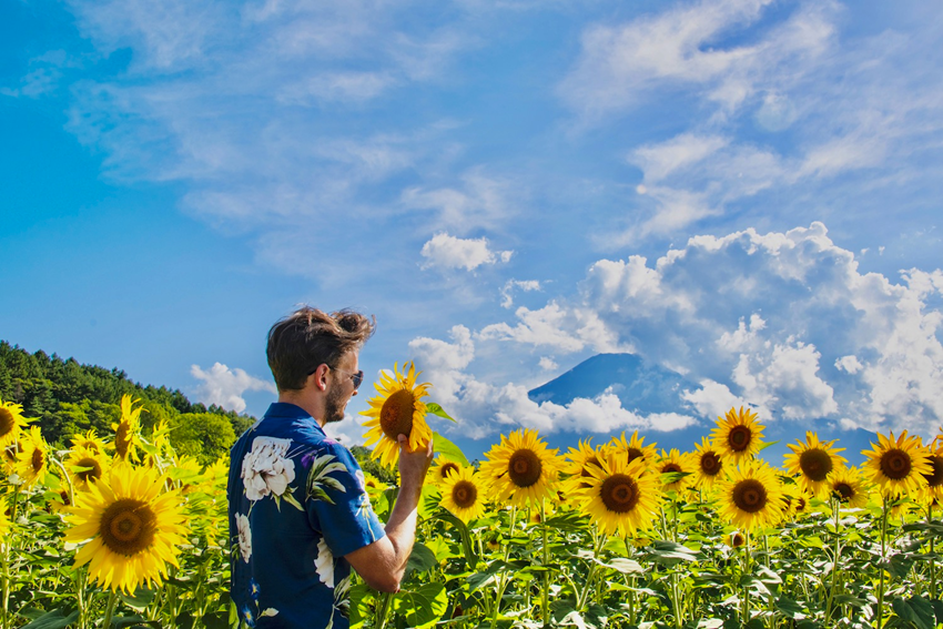 Tháng 7 Nên Đi Đâu Ở Nhật Bản? Gợi Ý 5 Điểm Đến “mát Lạnh” Giữa Mùa Hè