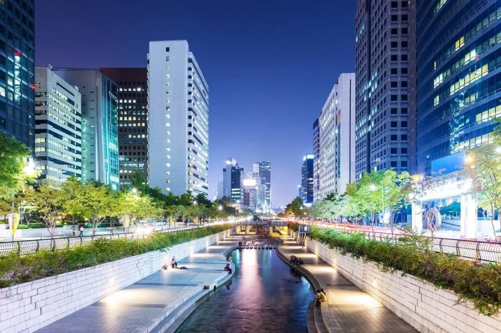 Suối Cheonggyecheon mùa xuân 2026 - Trải nghiệm đời sống Seoul giữa lòng đô thị