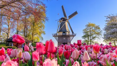 Du lịch Amsterdam tháng 5 có gì chơi? Lịch trình 3 ngày mùa xuân Hà Lan