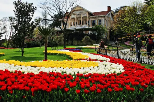 Checklist Emirgan Park tulip 2026 -  Cẩm nang cần thiết cho người đến Thổ Nhĩ Kỳ lần đầu 