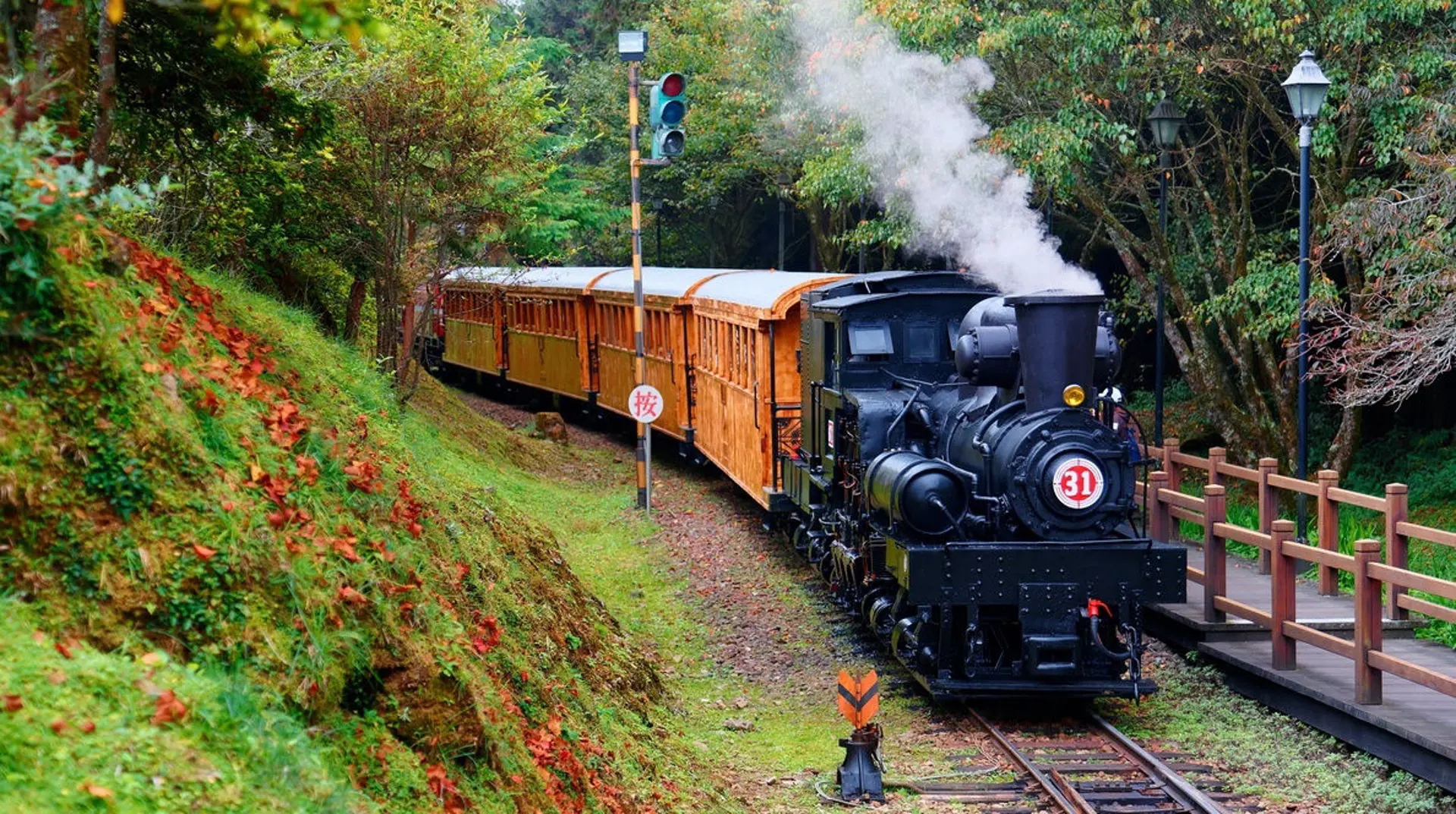 Alishan Forest Railway - Hành trình xuyên rừng tùng 100 tuổi ở Đài Loan