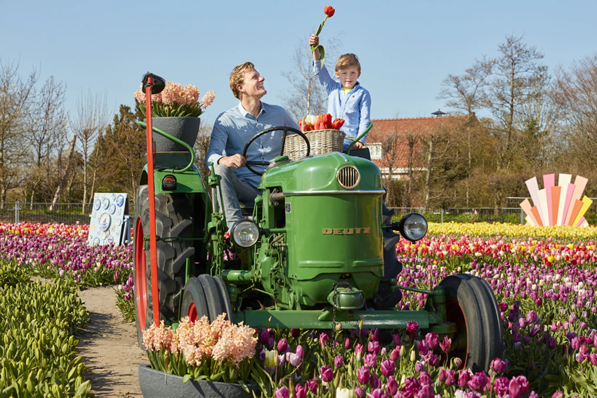  Cánh Đồng Hoa Tulip Hà Lan 2026 - Ngoài Keukenhof Còn Đi Đâu Đẹp?