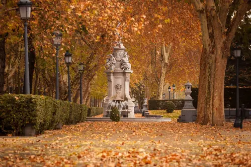 Madrid mùa thu 2025 - Sắc vàng dịu dàng và lễ hội đường phố truyền thống