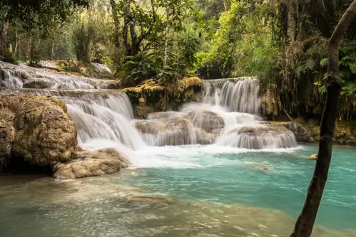 Thác Kuang Si: Review Chi Tiết Điểm Check-in Hot Nhất Mùa Hè 2025 Luang Prabang