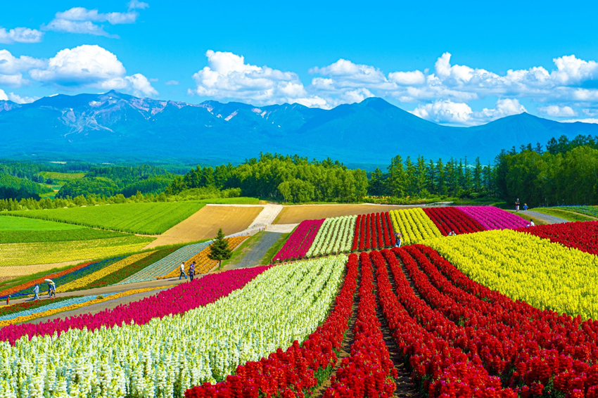 Sân Bay Quốc Tế Sapporo Mở Rộng Đón Mùa Du Lịch Hokkaido 2025