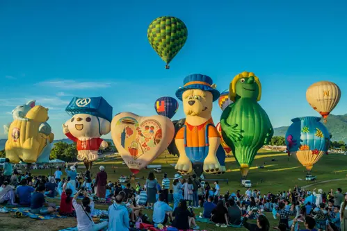 Đường Hầm Totoro Đài Đông: Điểm Sống Ảo "ghibli" Khiến Giới Trẻ Mê Mẩn