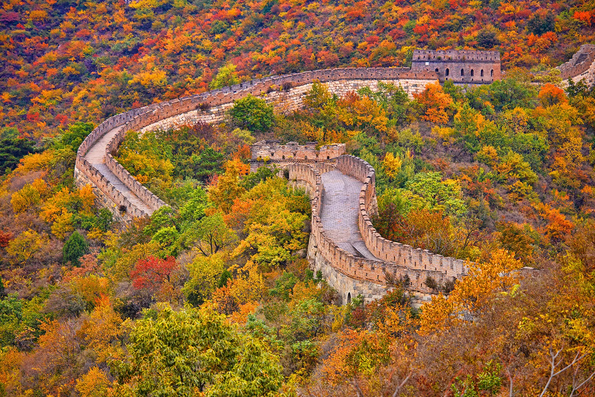 Điểm đến mùa thu Trung Quốc 2025: Khám phá vẻ đẹp lãng mạn và tuyệt vời 