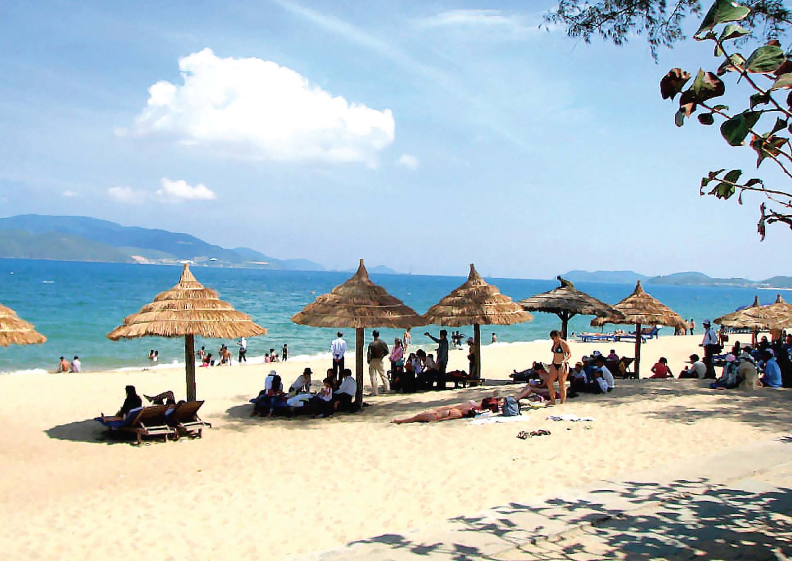 Káº¿t quáº£ hÃ¬nh áº£nh cho bÃ£i Sao táº¯m biá»n.