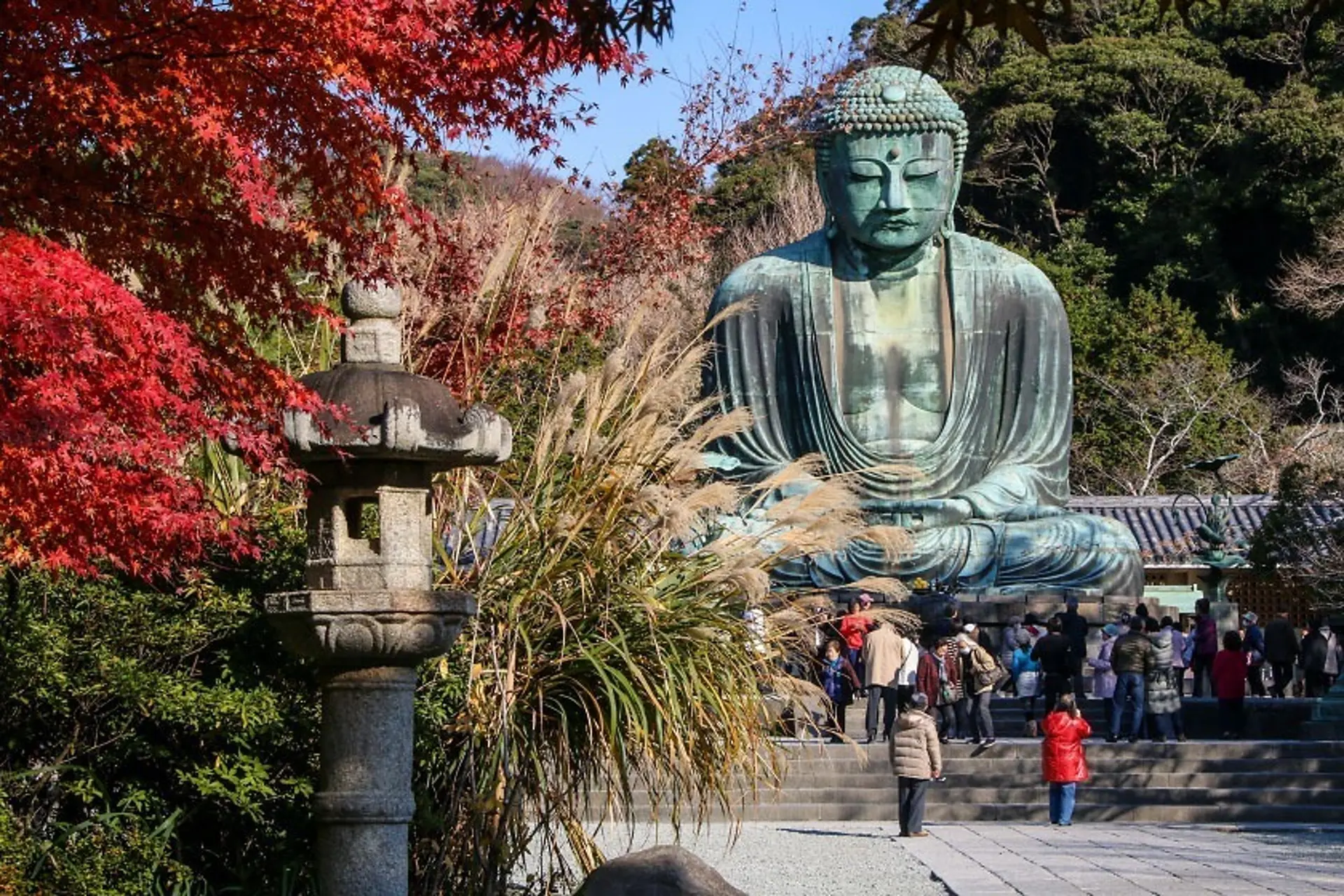 Kamakura mùa thu – Phố chùa cổ kính bên bờ biển Nhật Bản