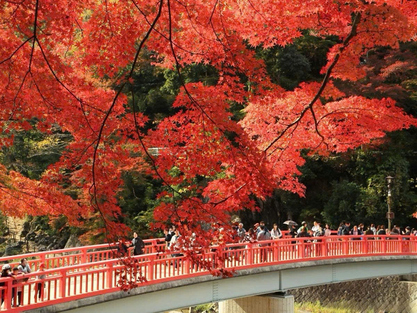Công viên Korankei Aichi – Thung lũng lá đỏ đẹp nhất Nhật Bản