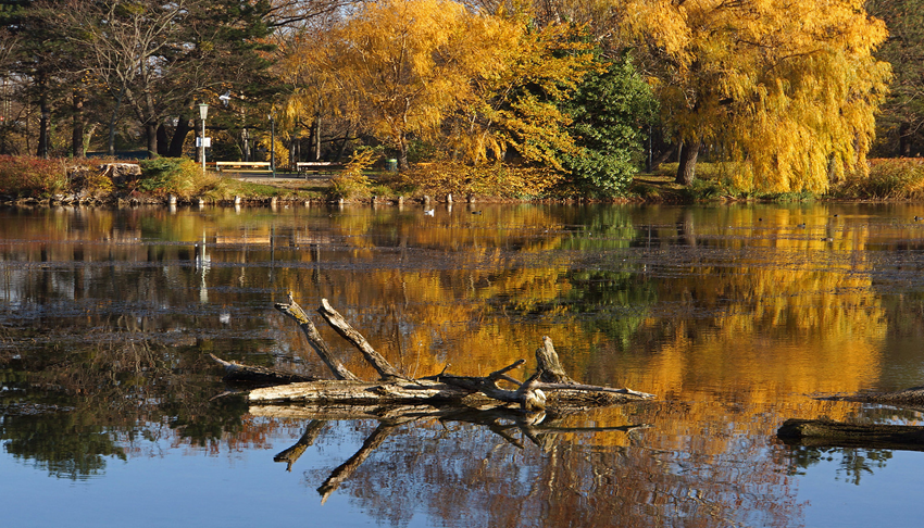 Du lịch Châu Âu mùa thu | 10 lý do không thể bỏ lỡ hành trình tuyệt vời