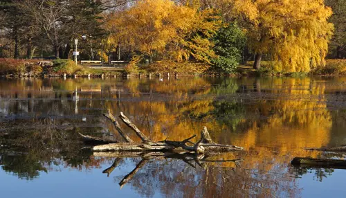 Du lịch Châu Âu mùa thu | 10 lý do không thể bỏ lỡ hành trình tuyệt vời