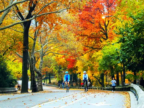 Top 7 thành phố lãng mạn Mỹ mùa thu – Điểm đến ngọt ngào cho chuyến du lịch Mỹ đáng nhớ