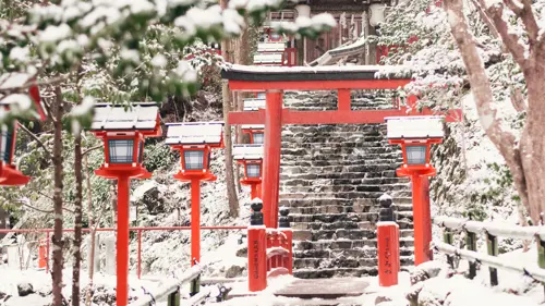 Kyoto mùa đông 2025 – Vẻ đẹp cố đô trong mùa tuyết rơi