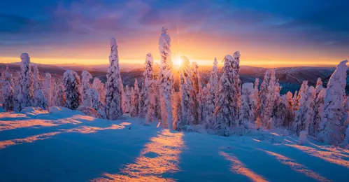 Alaska mùa đông 2025 – Hành trình cực quang & tuyết trắng cùng Du Lịch Triều Hảo