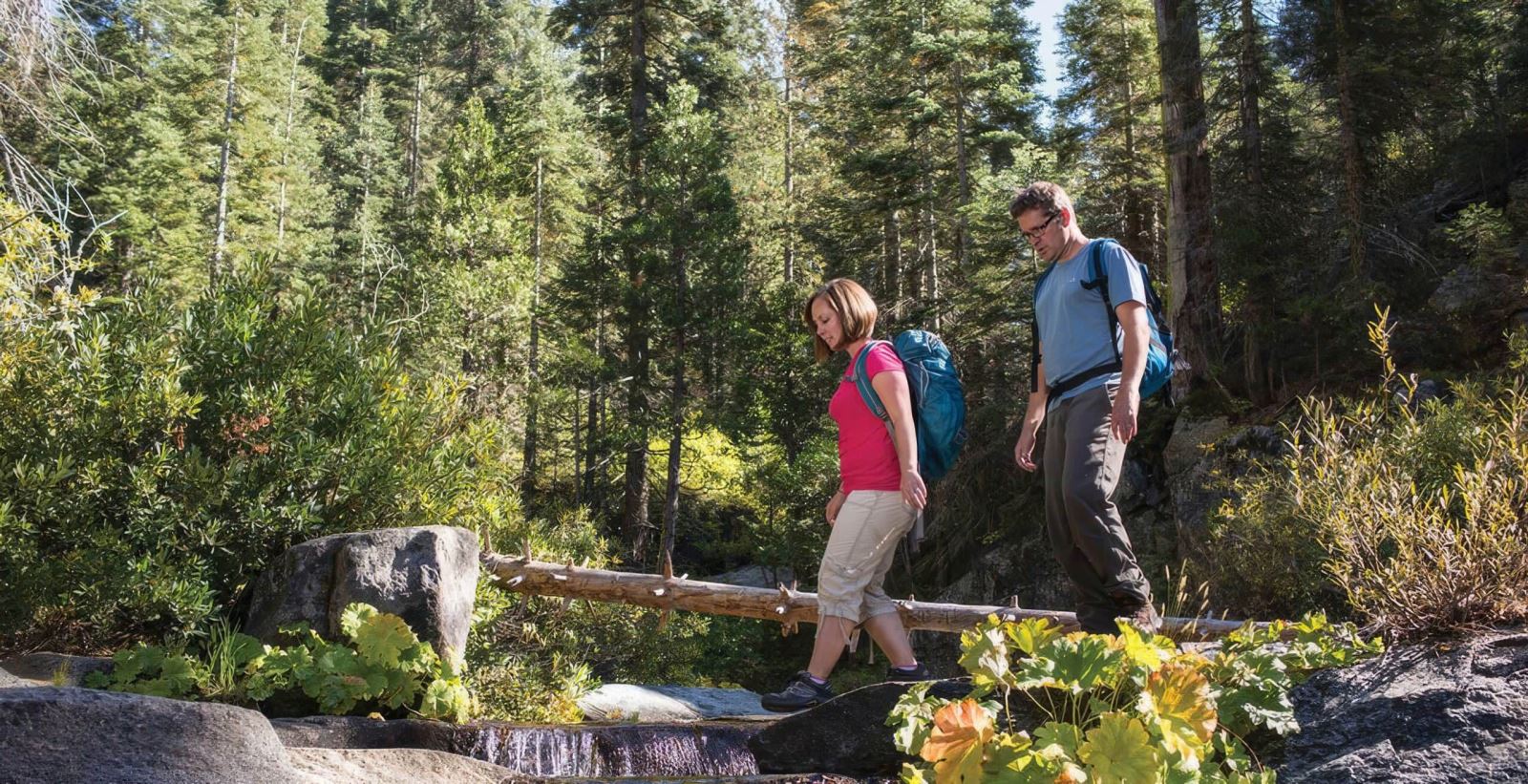 Du Lịch Mỹ - Vườn Quốc Gia Yosemite Qua 4 Mùa Trong Năm