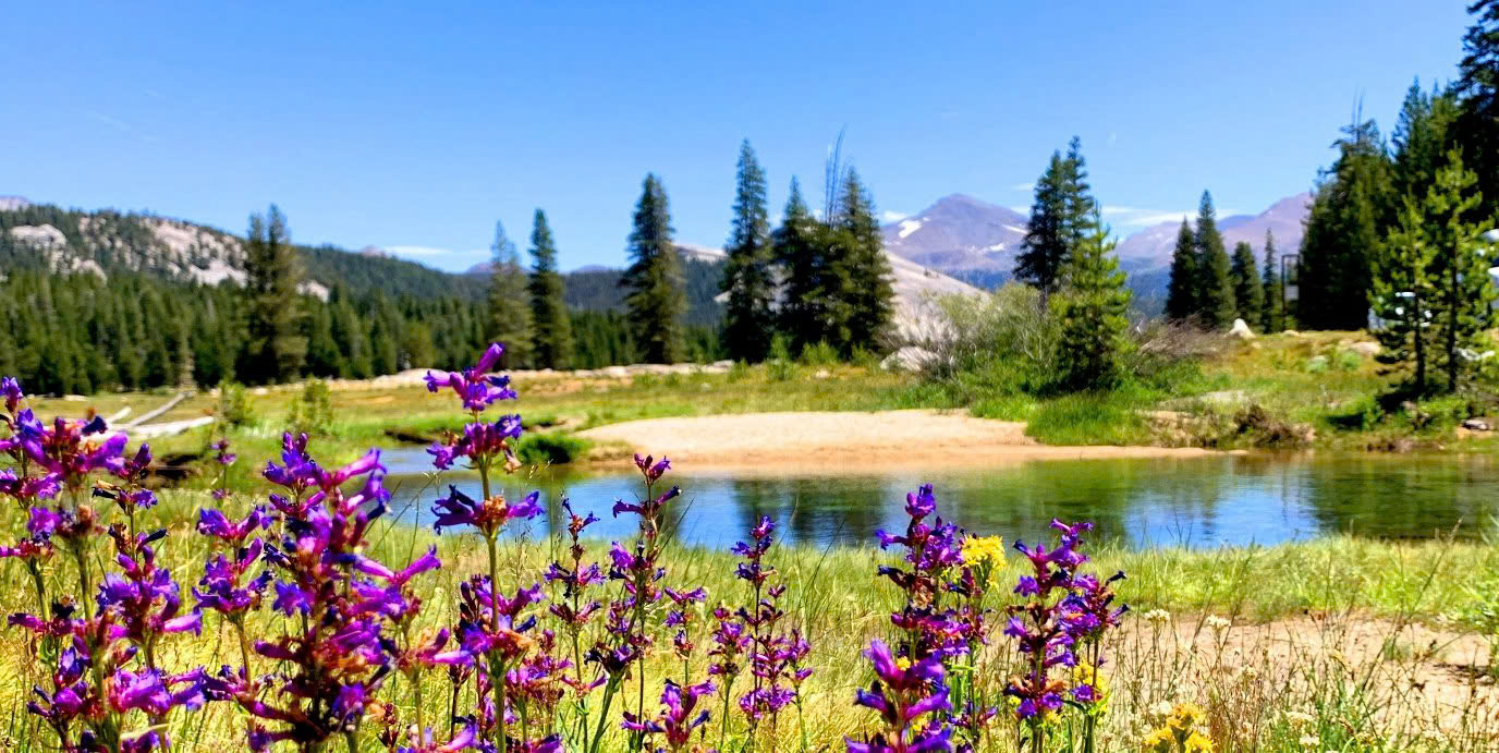 Du Lịch Mỹ - Vườn Quốc Gia Yosemite Qua 4 Mùa Trong Năm