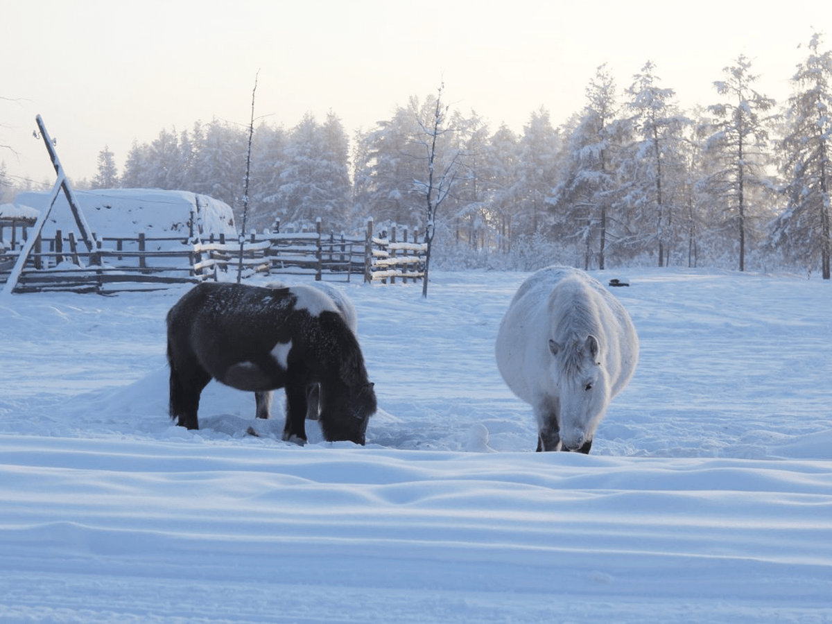 BẬT MÍ 15 ĐIỀU ĐẶC BIỆT CHỈ CÓ Ở NGA