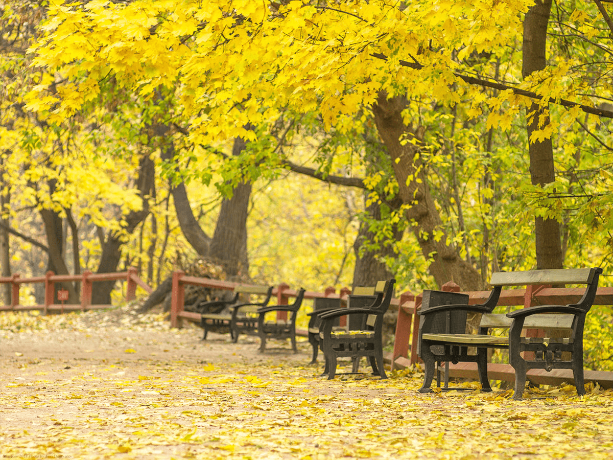 BẬT MÍ 15 ĐIỀU ĐẶC BIỆT CHỈ CÓ Ở NGA